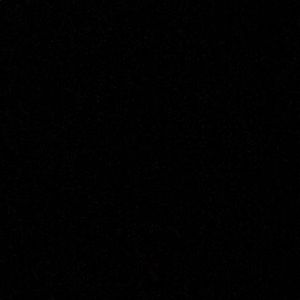 Meet your Posher, Rayna